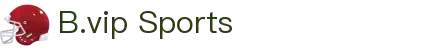 B.vipB体育·(中国有限公司)官方网站